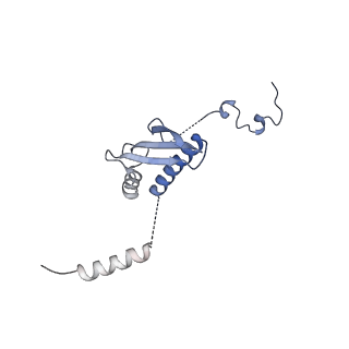 11394_6zsd_p_v1-0
Human mitochondrial ribosome in complex with mRNA, P-site tRNA and E-site tRNA