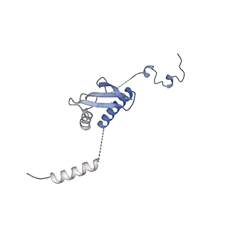 11394_6zsd_p_v4-1
Human mitochondrial ribosome in complex with mRNA, P-site tRNA and E-site tRNA