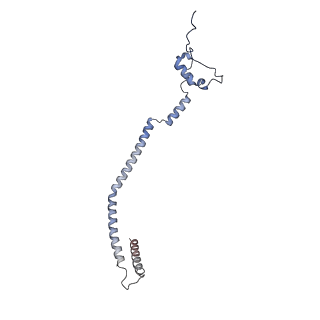11394_6zsd_q_v1-0
Human mitochondrial ribosome in complex with mRNA, P-site tRNA and E-site tRNA