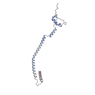 11394_6zsd_q_v4-1
Human mitochondrial ribosome in complex with mRNA, P-site tRNA and E-site tRNA