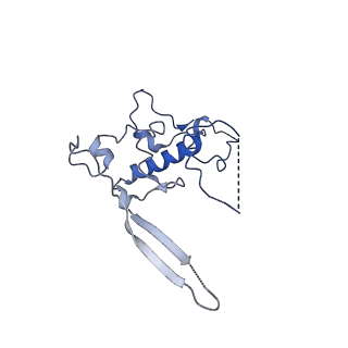 11394_6zsd_r_v1-0
Human mitochondrial ribosome in complex with mRNA, P-site tRNA and E-site tRNA