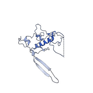 11394_6zsd_r_v4-1
Human mitochondrial ribosome in complex with mRNA, P-site tRNA and E-site tRNA