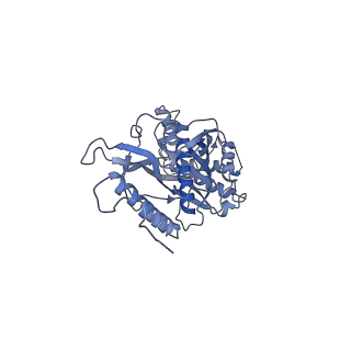 11394_6zsd_s_v1-0
Human mitochondrial ribosome in complex with mRNA, P-site tRNA and E-site tRNA