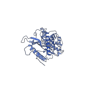 11394_6zsd_s_v2-0
Human mitochondrial ribosome in complex with mRNA, P-site tRNA and E-site tRNA
