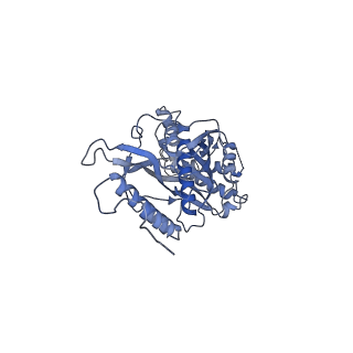 11394_6zsd_s_v4-0
Human mitochondrial ribosome in complex with mRNA, P-site tRNA and E-site tRNA