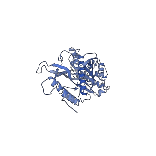 11394_6zsd_s_v4-1
Human mitochondrial ribosome in complex with mRNA, P-site tRNA and E-site tRNA