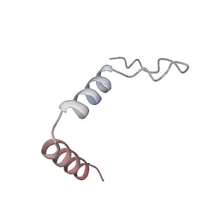 11394_6zsd_t1_v1-0
Human mitochondrial ribosome in complex with mRNA, P-site tRNA and E-site tRNA