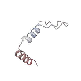 11394_6zsd_t1_v4-1
Human mitochondrial ribosome in complex with mRNA, P-site tRNA and E-site tRNA