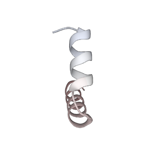 11394_6zsd_t3_v2-0
Human mitochondrial ribosome in complex with mRNA, P-site tRNA and E-site tRNA