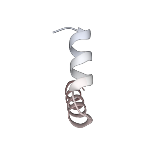 11394_6zsd_t3_v4-1
Human mitochondrial ribosome in complex with mRNA, P-site tRNA and E-site tRNA