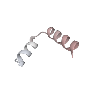 11394_6zsd_t4_v4-1
Human mitochondrial ribosome in complex with mRNA, P-site tRNA and E-site tRNA