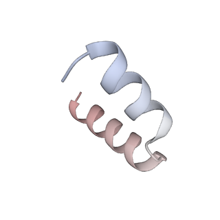 11394_6zsd_t5_v1-0
Human mitochondrial ribosome in complex with mRNA, P-site tRNA and E-site tRNA