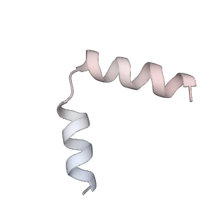 11394_6zsd_t6_v1-0
Human mitochondrial ribosome in complex with mRNA, P-site tRNA and E-site tRNA