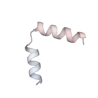 11394_6zsd_t6_v2-0
Human mitochondrial ribosome in complex with mRNA, P-site tRNA and E-site tRNA