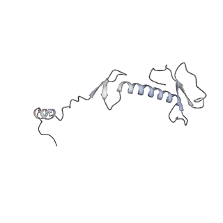 11395_6zse_0_v1-0
Human mitochondrial ribosome in complex with mRNA, A/P-tRNA and P/E-tRNA