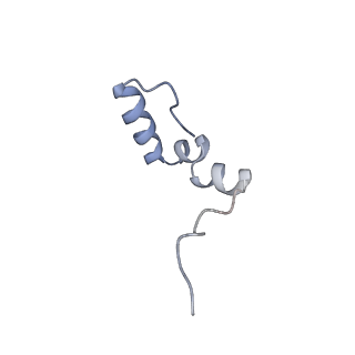 11395_6zse_2_v3-0
Human mitochondrial ribosome in complex with mRNA, A/P-tRNA and P/E-tRNA