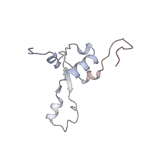 11395_6zse_3_v1-0
Human mitochondrial ribosome in complex with mRNA, A/P-tRNA and P/E-tRNA