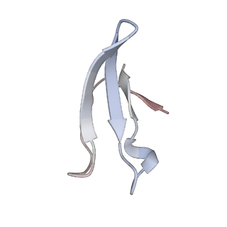11395_6zse_4_v1-0
Human mitochondrial ribosome in complex with mRNA, A/P-tRNA and P/E-tRNA