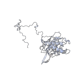 11395_6zse_5_v1-0
Human mitochondrial ribosome in complex with mRNA, A/P-tRNA and P/E-tRNA