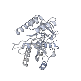 11395_6zse_7_v1-0
Human mitochondrial ribosome in complex with mRNA, A/P-tRNA and P/E-tRNA