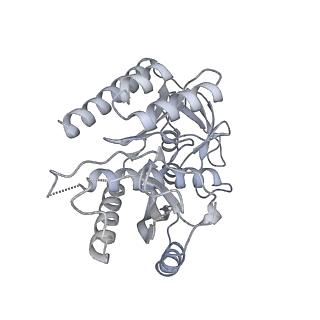 11395_6zse_7_v2-0
Human mitochondrial ribosome in complex with mRNA, A/P-tRNA and P/E-tRNA