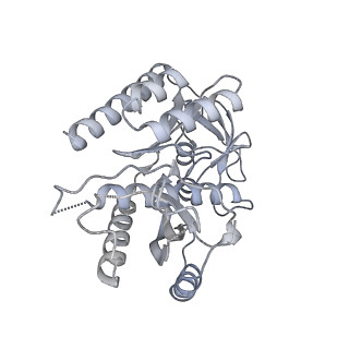 11395_6zse_7_v3-0
Human mitochondrial ribosome in complex with mRNA, A/P-tRNA and P/E-tRNA