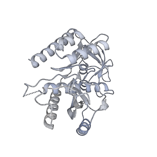 11395_6zse_7_v4-0
Human mitochondrial ribosome in complex with mRNA, A/P-tRNA and P/E-tRNA
