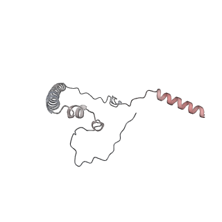 11395_6zse_8_v1-0
Human mitochondrial ribosome in complex with mRNA, A/P-tRNA and P/E-tRNA