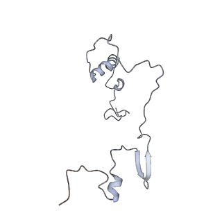 11395_6zse_9_v1-0
Human mitochondrial ribosome in complex with mRNA, A/P-tRNA and P/E-tRNA