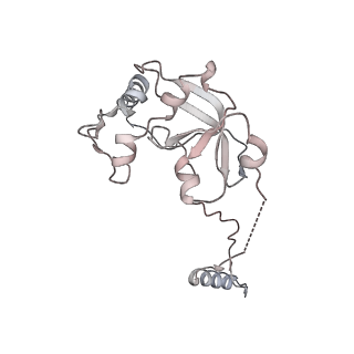 11395_6zse_A0_v1-0
Human mitochondrial ribosome in complex with mRNA, A/P-tRNA and P/E-tRNA
