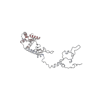 11395_6zse_A1_v1-0
Human mitochondrial ribosome in complex with mRNA, A/P-tRNA and P/E-tRNA