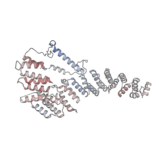 11395_6zse_A4_v1-0
Human mitochondrial ribosome in complex with mRNA, A/P-tRNA and P/E-tRNA