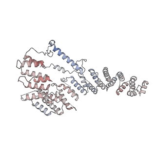 11395_6zse_A4_v2-0
Human mitochondrial ribosome in complex with mRNA, A/P-tRNA and P/E-tRNA