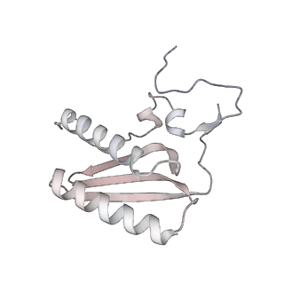 11395_6zse_AC_v1-0
Human mitochondrial ribosome in complex with mRNA, A/P-tRNA and P/E-tRNA