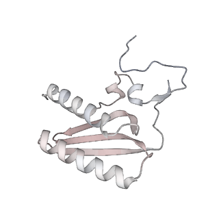 11395_6zse_AC_v2-0
Human mitochondrial ribosome in complex with mRNA, A/P-tRNA and P/E-tRNA