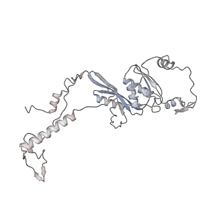 11395_6zse_AD_v1-0
Human mitochondrial ribosome in complex with mRNA, A/P-tRNA and P/E-tRNA