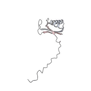 11395_6zse_AE_v1-0
Human mitochondrial ribosome in complex with mRNA, A/P-tRNA and P/E-tRNA