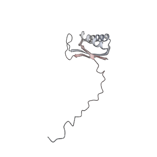 11395_6zse_AE_v2-0
Human mitochondrial ribosome in complex with mRNA, A/P-tRNA and P/E-tRNA