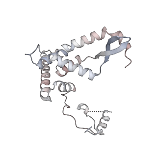 11395_6zse_AF_v1-0
Human mitochondrial ribosome in complex with mRNA, A/P-tRNA and P/E-tRNA