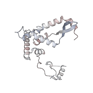 11395_6zse_AF_v2-0
Human mitochondrial ribosome in complex with mRNA, A/P-tRNA and P/E-tRNA