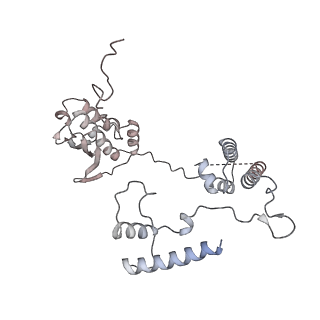 11395_6zse_AG_v1-0
Human mitochondrial ribosome in complex with mRNA, A/P-tRNA and P/E-tRNA