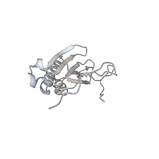11395_6zse_AI_v1-0
Human mitochondrial ribosome in complex with mRNA, A/P-tRNA and P/E-tRNA