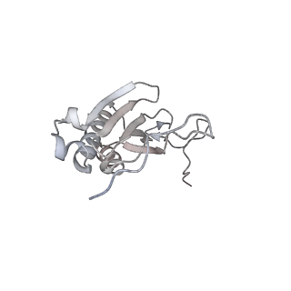 11395_6zse_AI_v2-0
Human mitochondrial ribosome in complex with mRNA, A/P-tRNA and P/E-tRNA