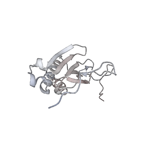 11395_6zse_AI_v3-0
Human mitochondrial ribosome in complex with mRNA, A/P-tRNA and P/E-tRNA