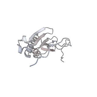 11395_6zse_AI_v4-0
Human mitochondrial ribosome in complex with mRNA, A/P-tRNA and P/E-tRNA