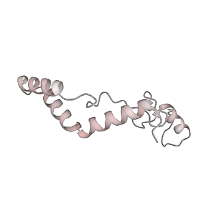 11395_6zse_AK_v1-0
Human mitochondrial ribosome in complex with mRNA, A/P-tRNA and P/E-tRNA