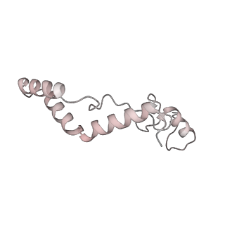 11395_6zse_AK_v3-0
Human mitochondrial ribosome in complex with mRNA, A/P-tRNA and P/E-tRNA