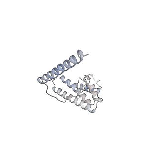 11395_6zse_AL_v1-0
Human mitochondrial ribosome in complex with mRNA, A/P-tRNA and P/E-tRNA