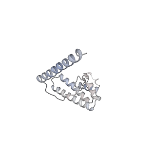 11395_6zse_AL_v2-0
Human mitochondrial ribosome in complex with mRNA, A/P-tRNA and P/E-tRNA
