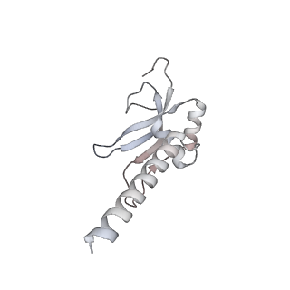 11395_6zse_AM_v1-0
Human mitochondrial ribosome in complex with mRNA, A/P-tRNA and P/E-tRNA
